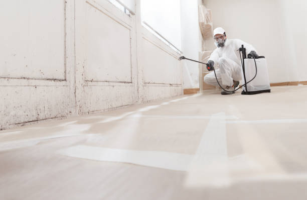 24/7 Emergency Mold Remediation experts in Dornsife, PA